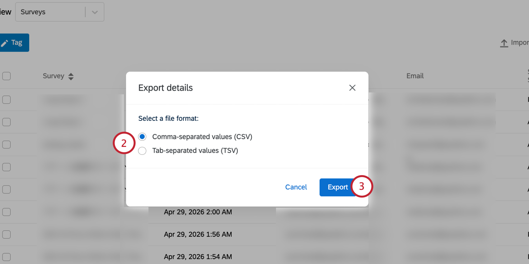 choosing the export format