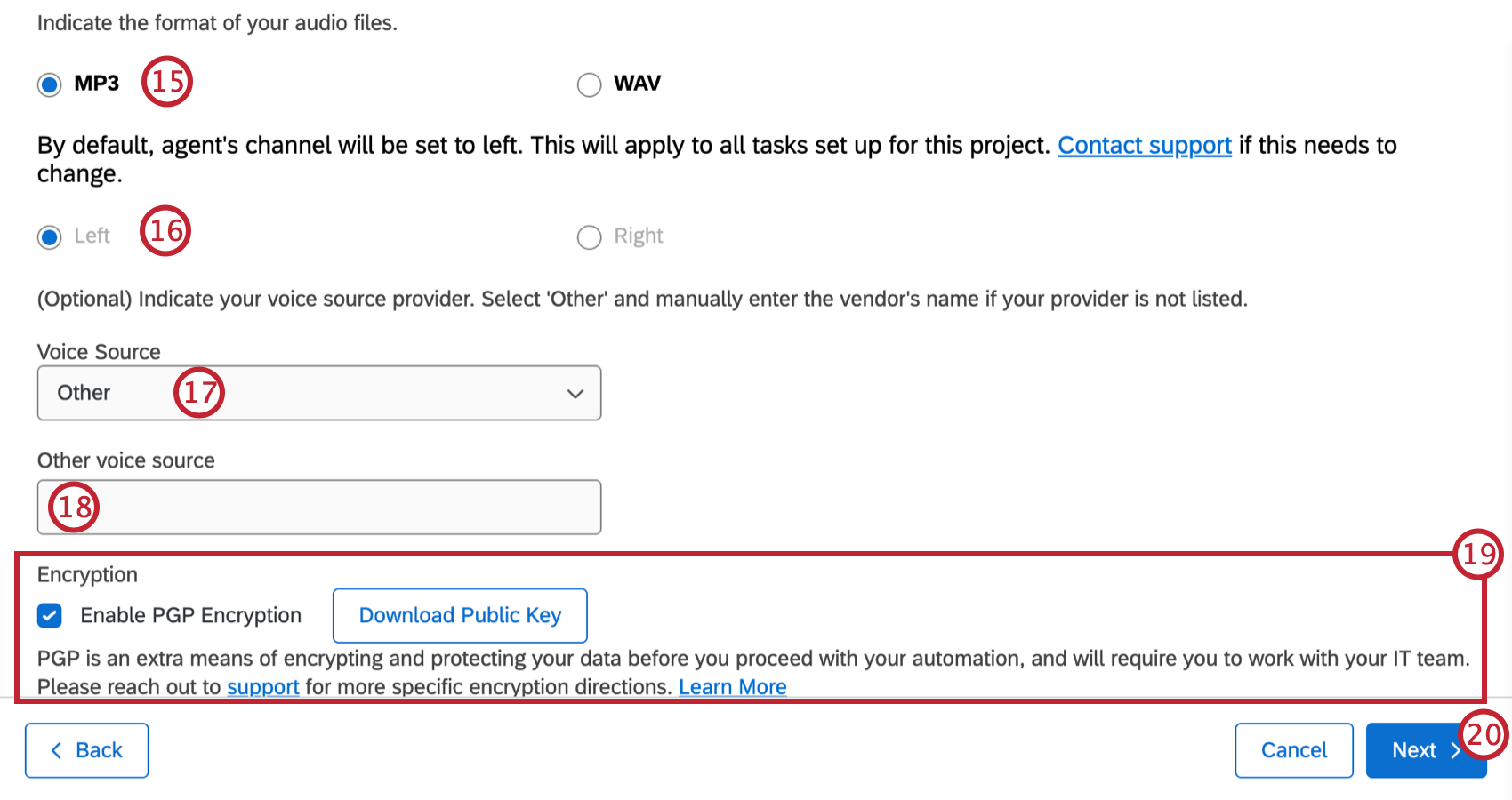options to select the format and encryption