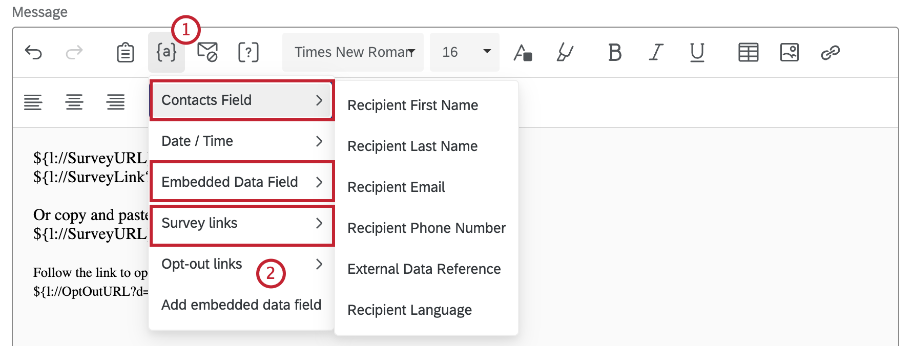 piped text fields that can be inserted into the email editor highlighted