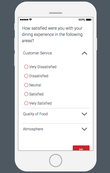Mobile view where each row is an item and it drops down to reveal the scale points that can be assigned