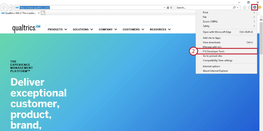 image of the developer tools in internet explorer