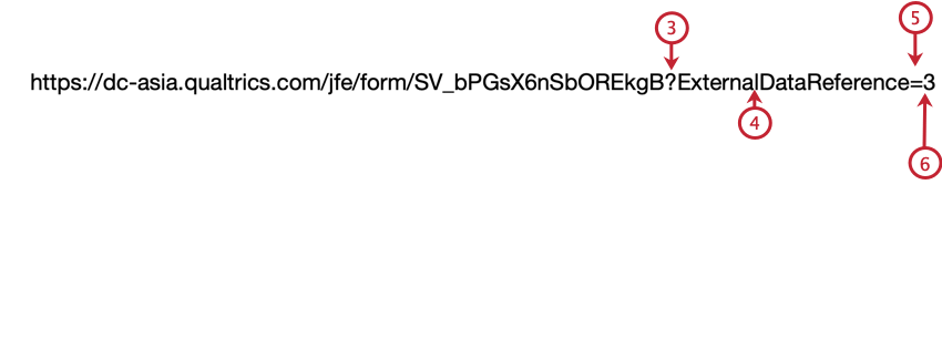 building a query string on the anonymous link to pass externaldatareference