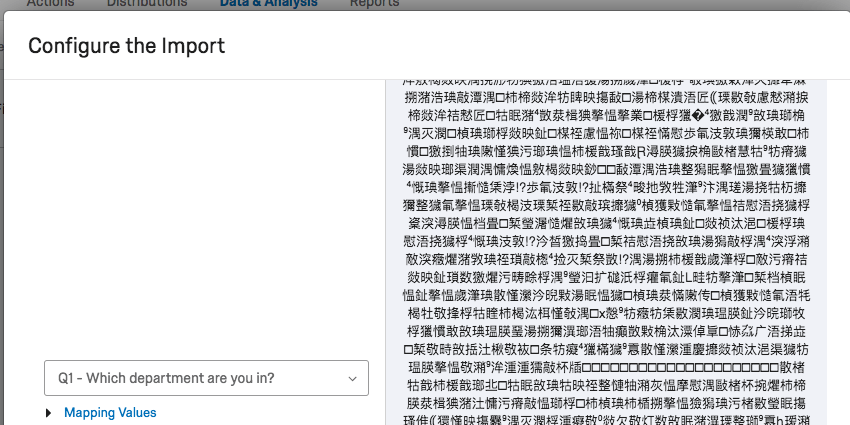 image of importer preview with misconfigured file