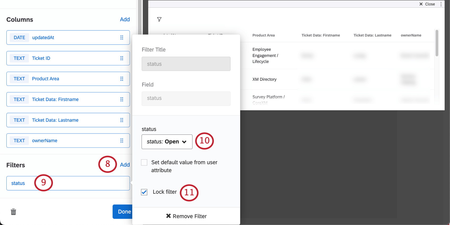 Clicking to add filter and opening a dialog box to create the status and lock the filter