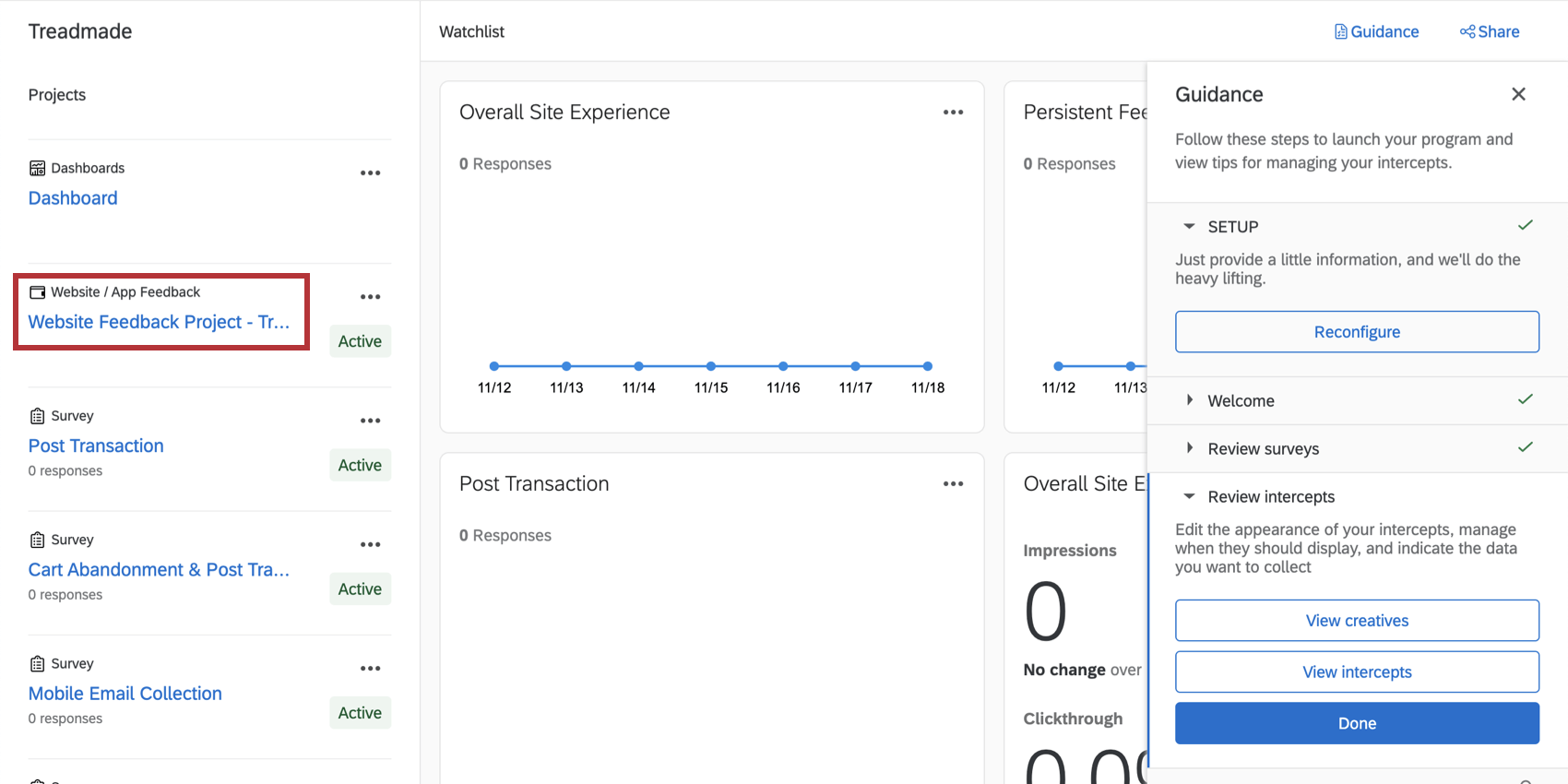 Website feedback project in the program