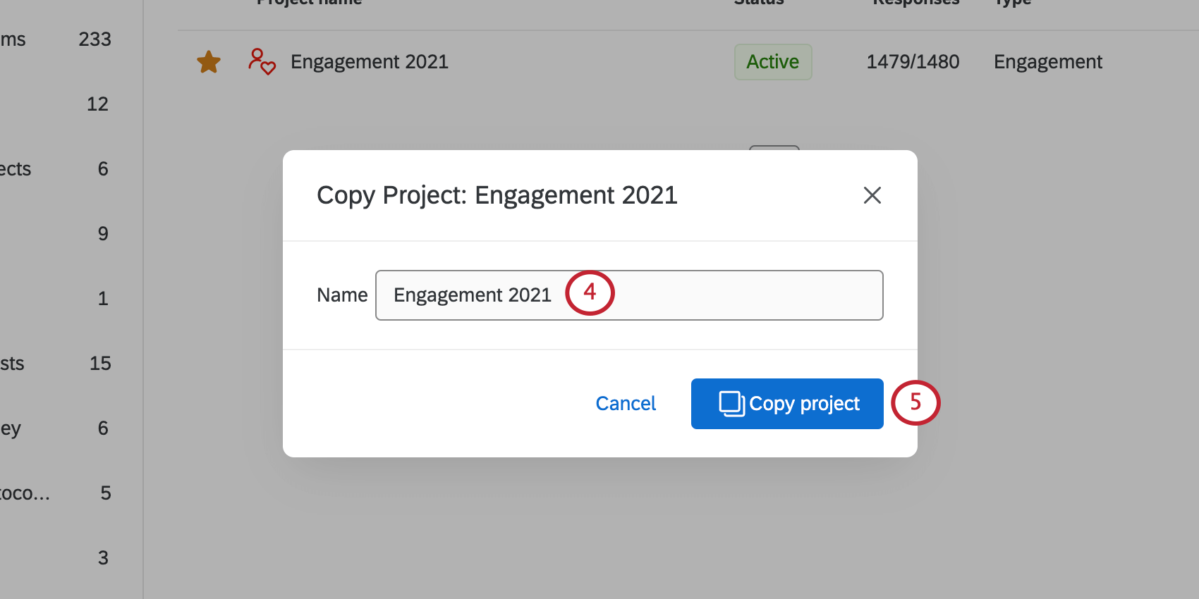 new modal opens where you copy project