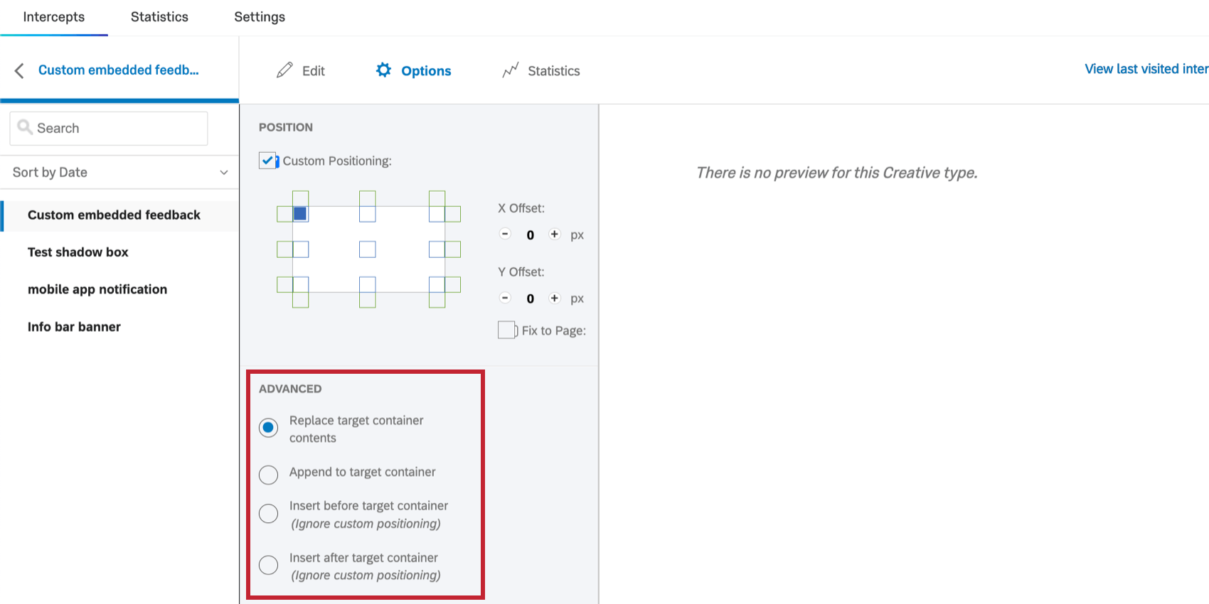 Advanced options in the Options section of the creative