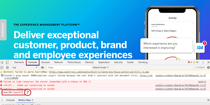entering the userID in the console tab of the website the intercept is on