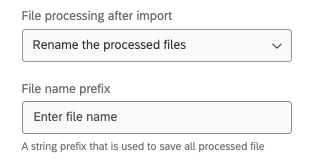 File processing after import: rename the processed files. File name prefix: a string prefix that is used to save all processed files
