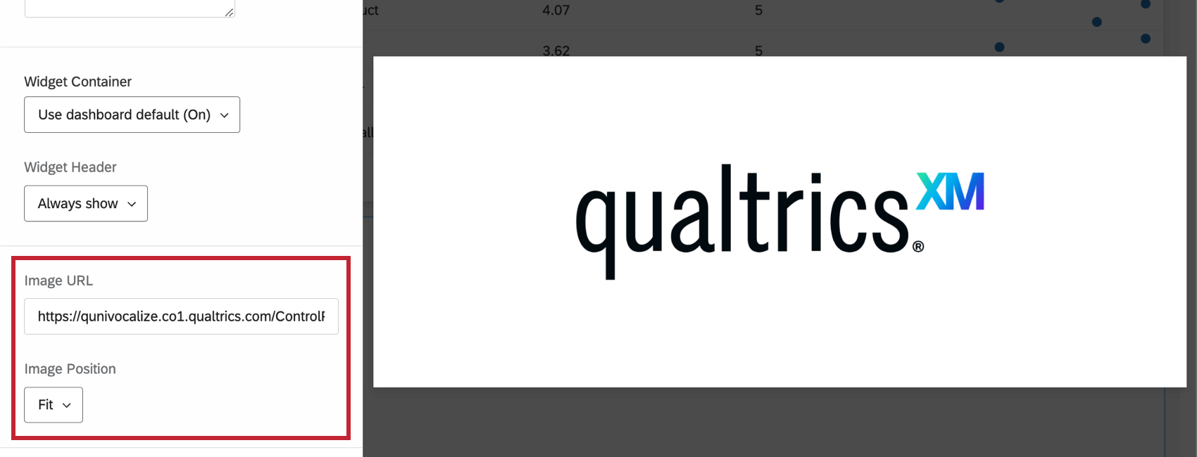 Image URL in left editing pane