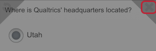 "X" button at top-right corner of page