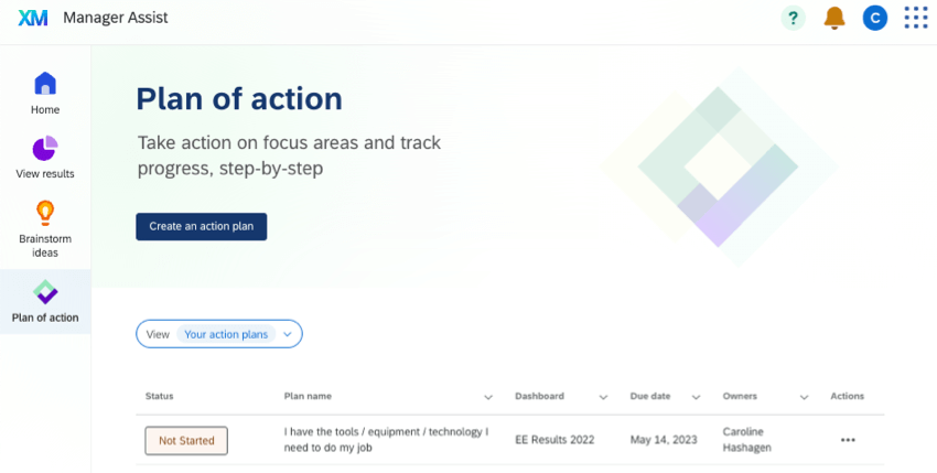 "plan of action" page within manager assist