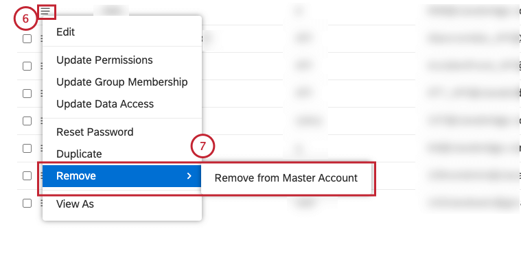 Remove from Master Account