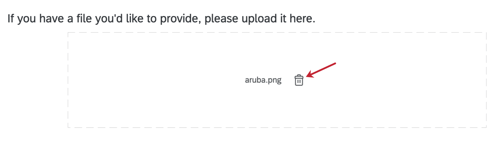 An image of a file upload question with the simple layout applied. There is a trashcan icon next to the uploaded file allowing it to be removed