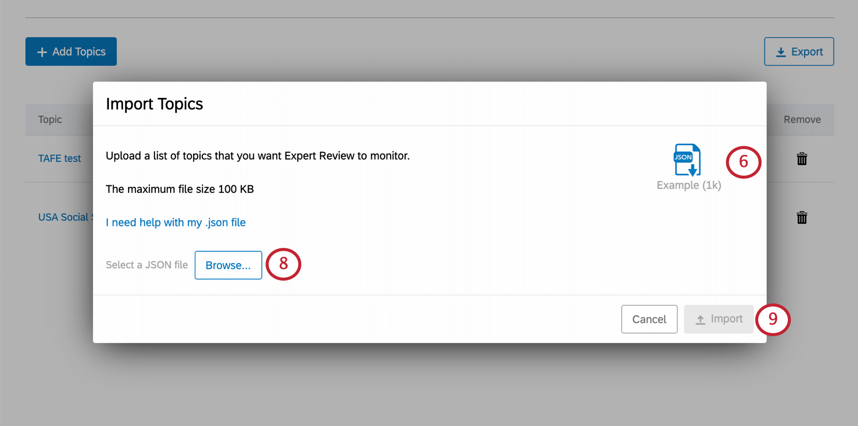 Import window
