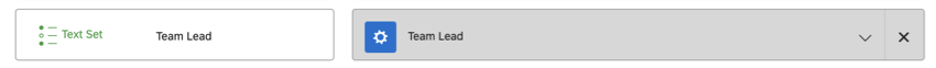 Team Lead mapped in dashboard data