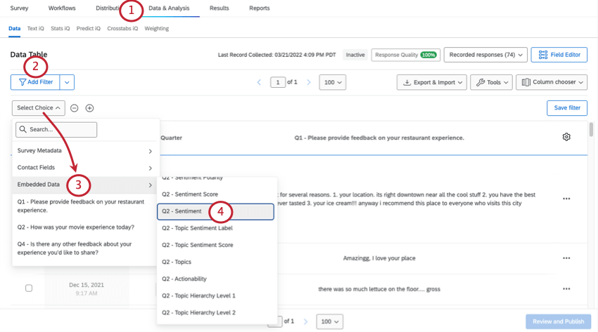 Adding a sentiment filter in the Data & Analysis