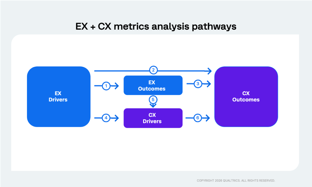 The 6 EX and CX analytical linkage pathways