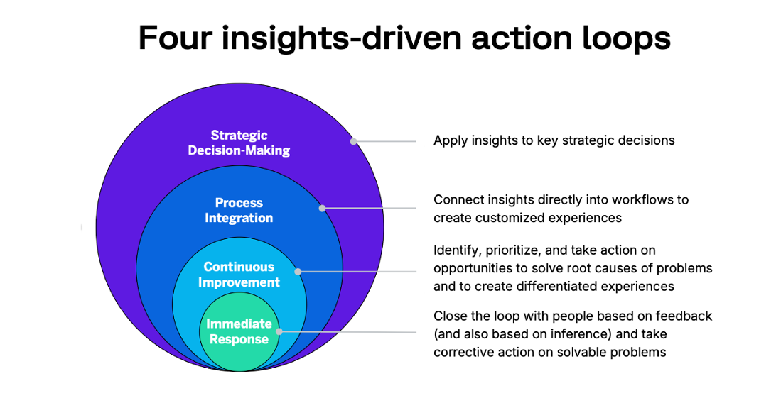 describes visually the four insights-driven action loops, with four concentric circles.