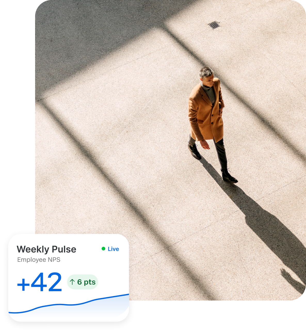Weekly pulse score