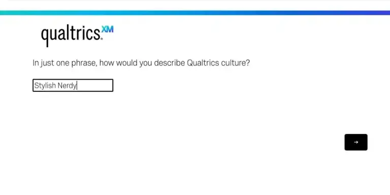 text-entry survey example